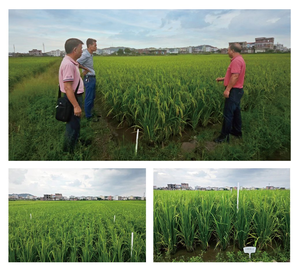 manbet官网-相信品牌力量