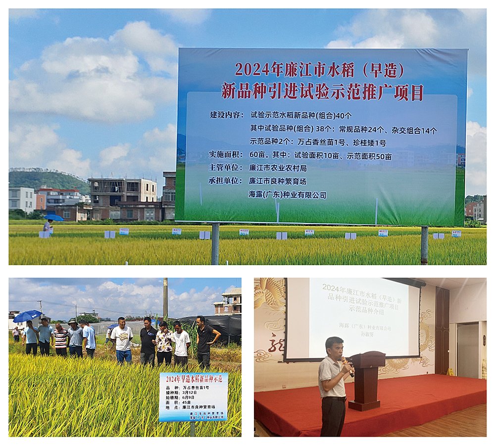 manbet官网-相信品牌力量