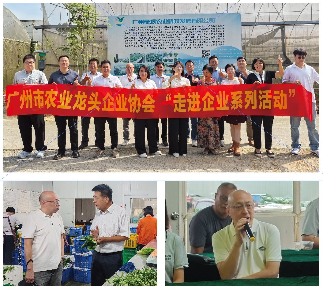 manbet官网-相信品牌力量