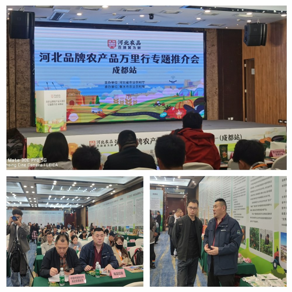 manbet官网-相信品牌力量