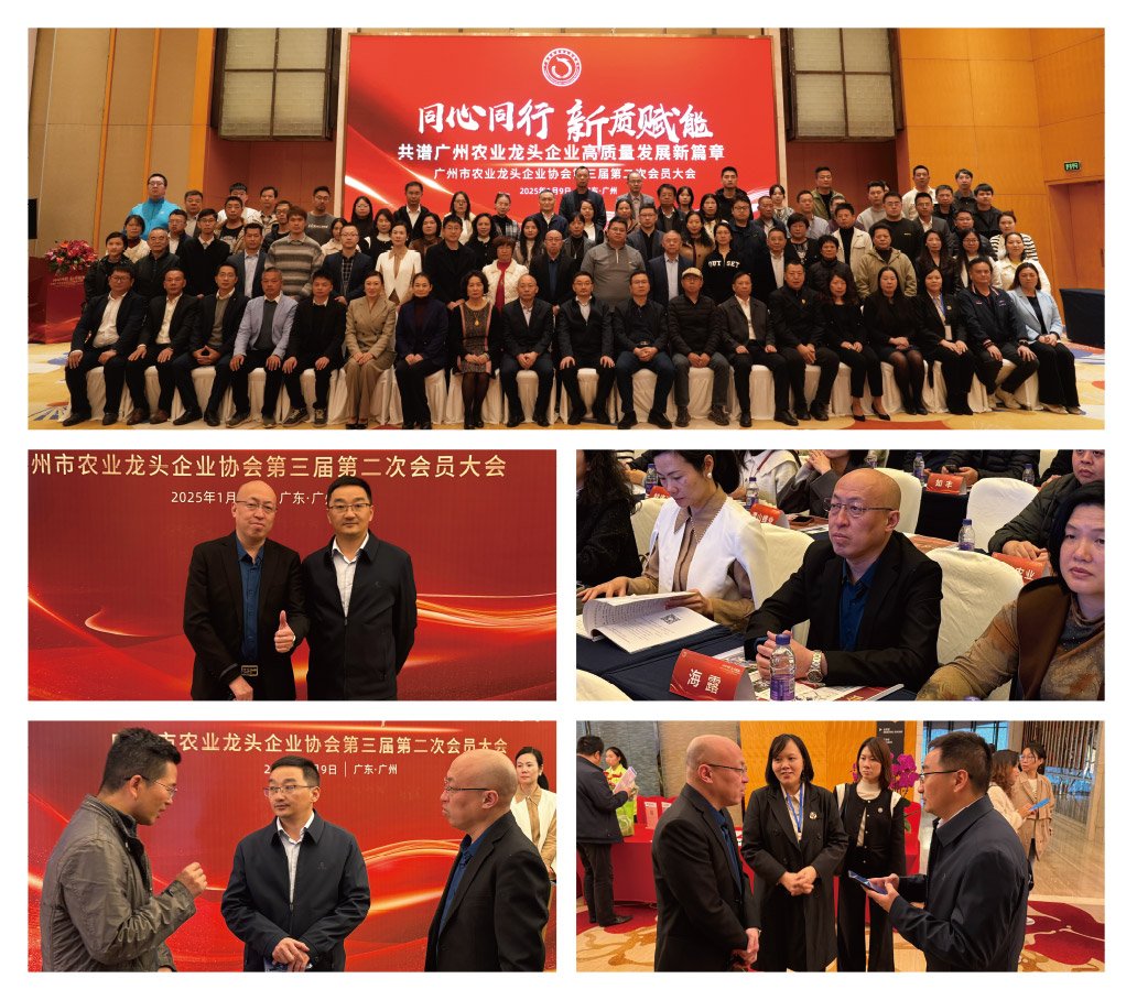 manbet官网-相信品牌力量