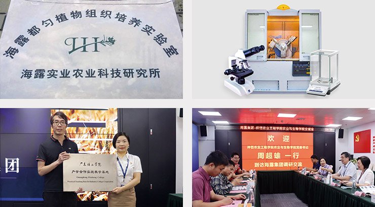 manbet官网-相信品牌力量