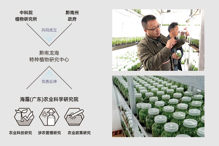 manbet官网-相信品牌力量