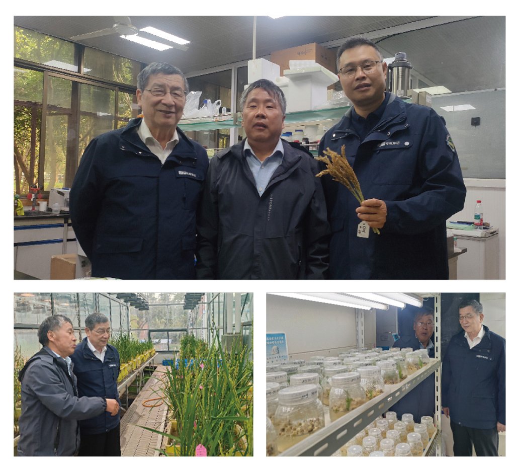 manbet官网-相信品牌力量